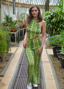 Wild Python Top - Green Snake Skin Print Halterneck Top Two Piece Outfit